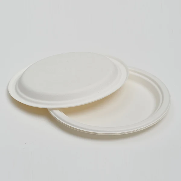 9" Plate