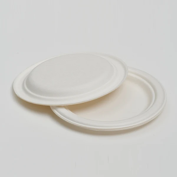 10" Plate