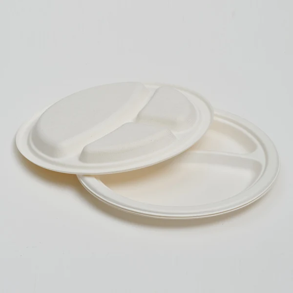 10" 3-compartment Plate