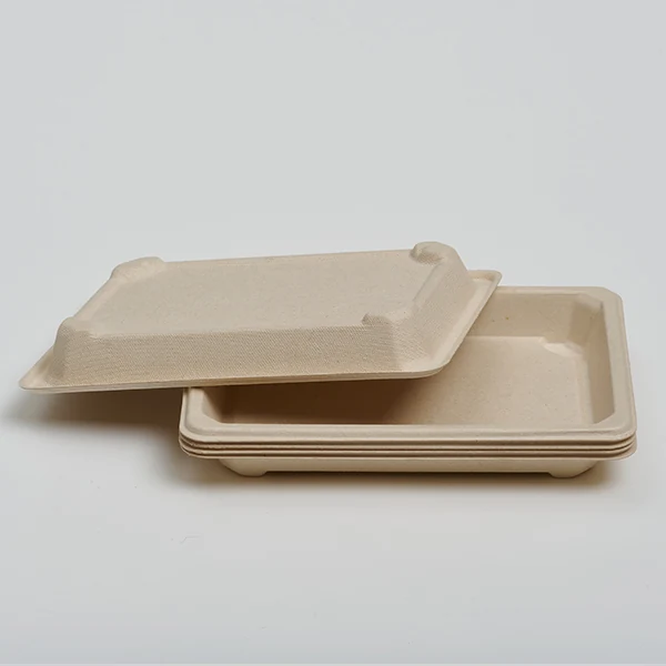 Sushi Tray — XL (22×14cm)