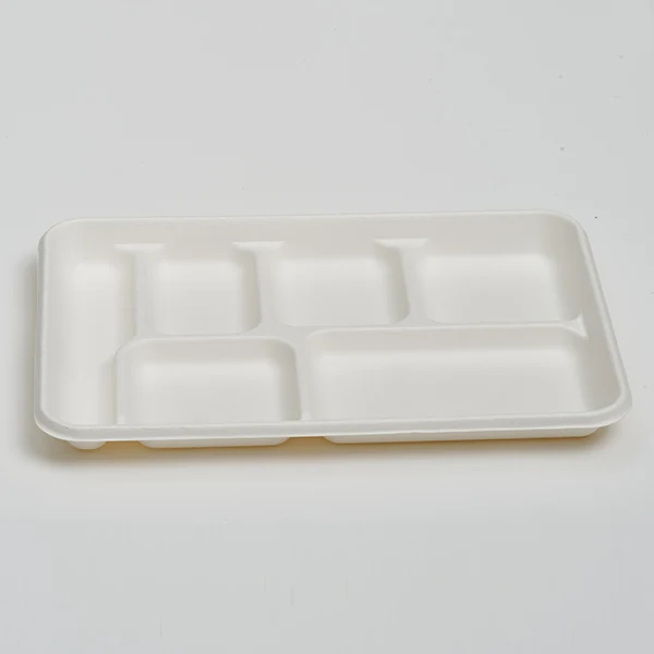 6-Compartment Tray